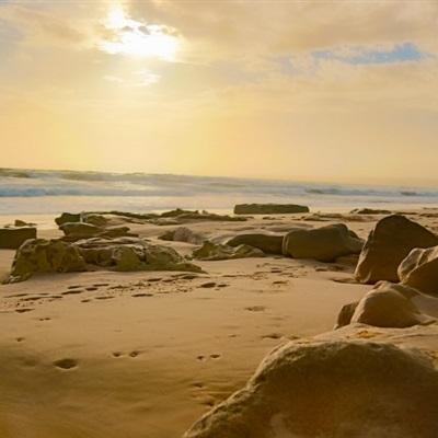 火狐体育下载appapp下载